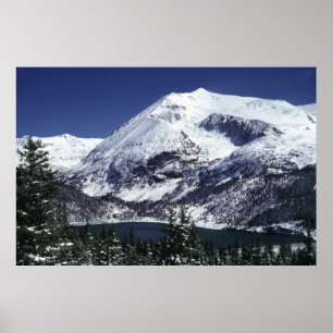 Póster Copas de montaña Snowley Colorado