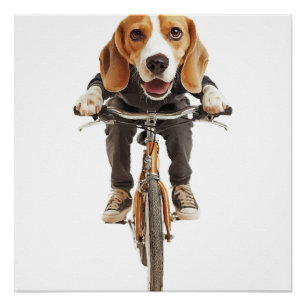 Póster Copia de Beagle copia copia
