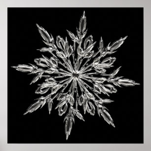 Póster Copo de nieve cristalino