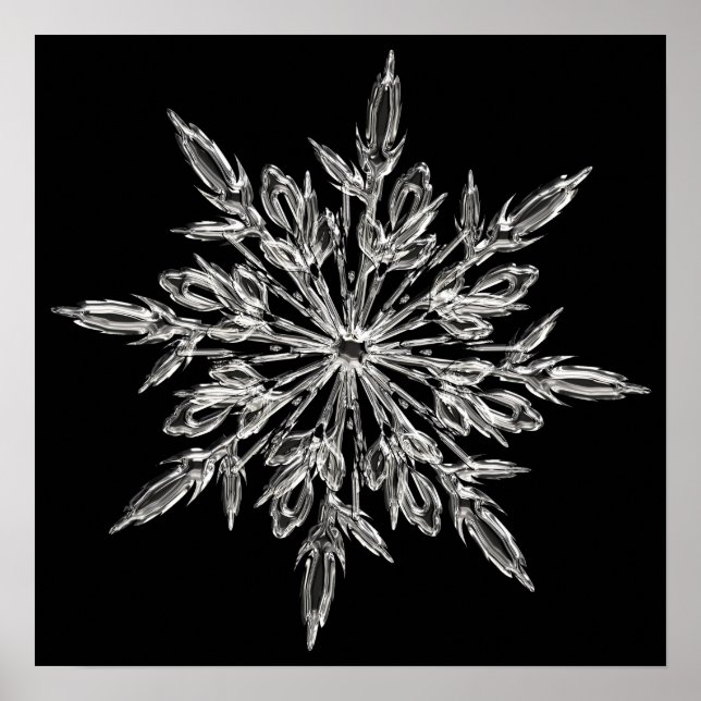 Póster Copo de nieve de cristal (Frente)