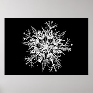 Póster Copo de nieve del cristal de hielo