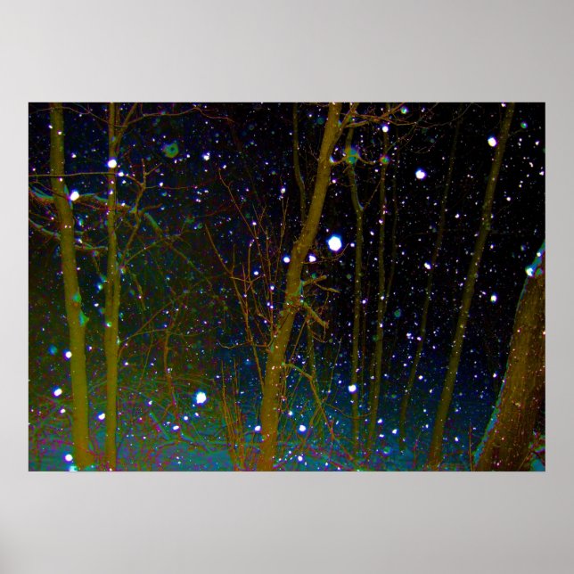 Póster Copo de nieve en el bosque (Frente)