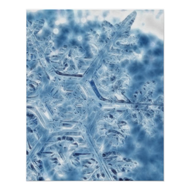 Póster Copo de nieve Fractal de hielo congelado (Anverso)
