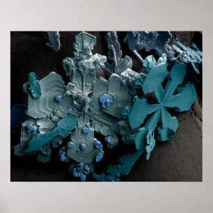 Póster Copos de nieve