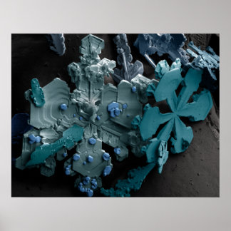 Póster Copos de nieve