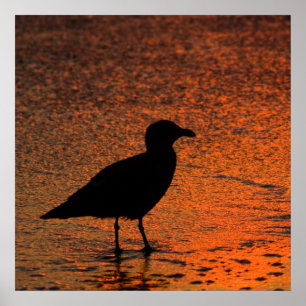 Póster Copper Sunset