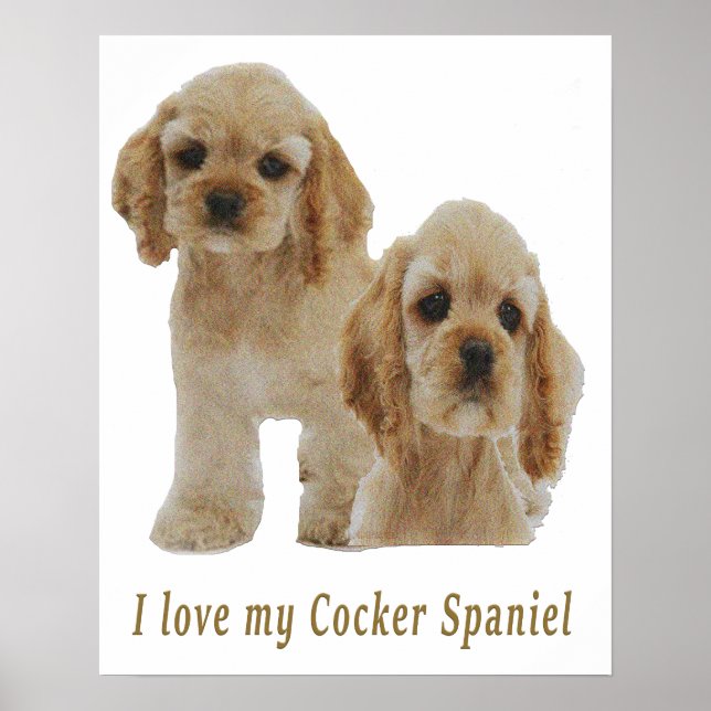 Póster coqueteo spaniels (Frente)
