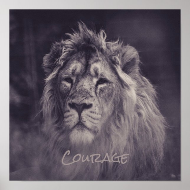 Póster Coraje de León Rey de la Selva (Frente)