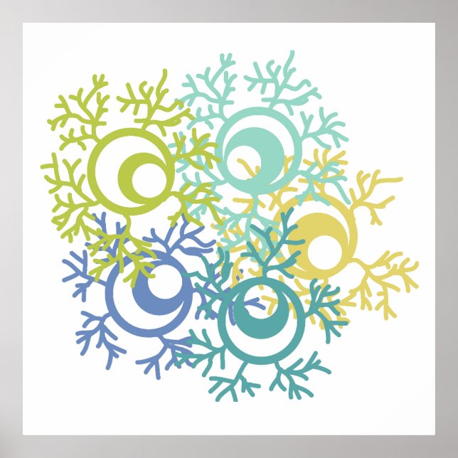 Póster Coral (Frente)