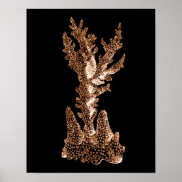 Póster Coral costero mar mar playa mar negro