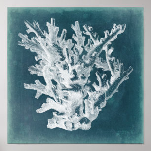 Póster Coral de Azure I