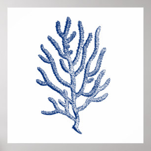 Póster Coral Minimalista en azul