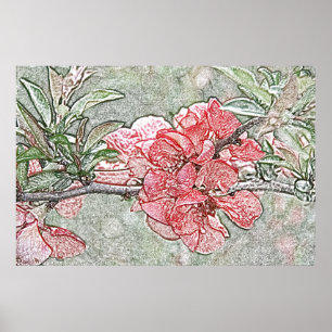Póster Coral quince poster