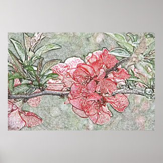 Póster Coral quince poster