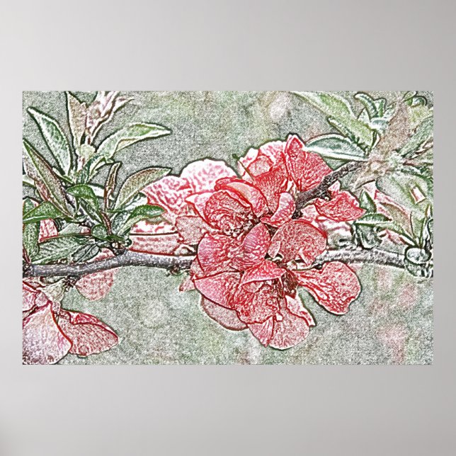 Póster Coral quince poster (Frente)