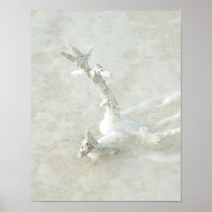 Póster Coral único en la playa