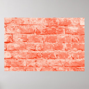 Póster Coral vivo. Fondo de pared de ladrillo. Closeup ho