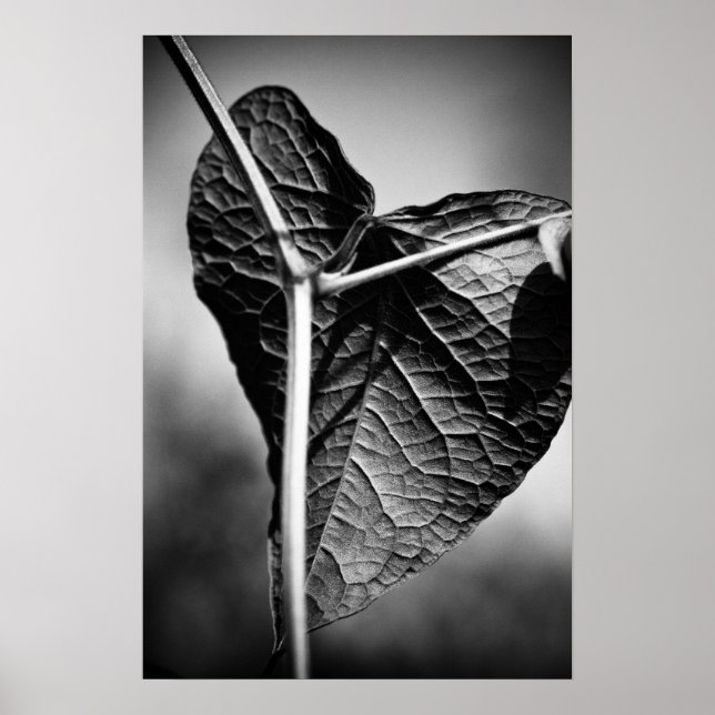 Póster corazón crucificado (Frente)