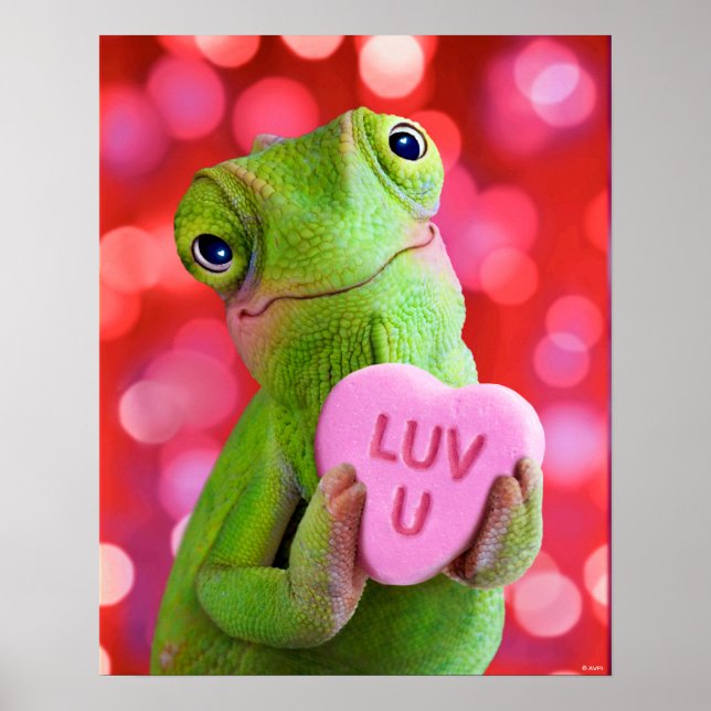 Póster Corazón de Camaleón (Te Amo) (Frente)