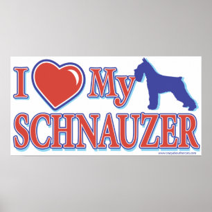 Póster Corazón de mi Schnauzer