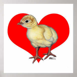 Póster Corazón de Poult de Turquía