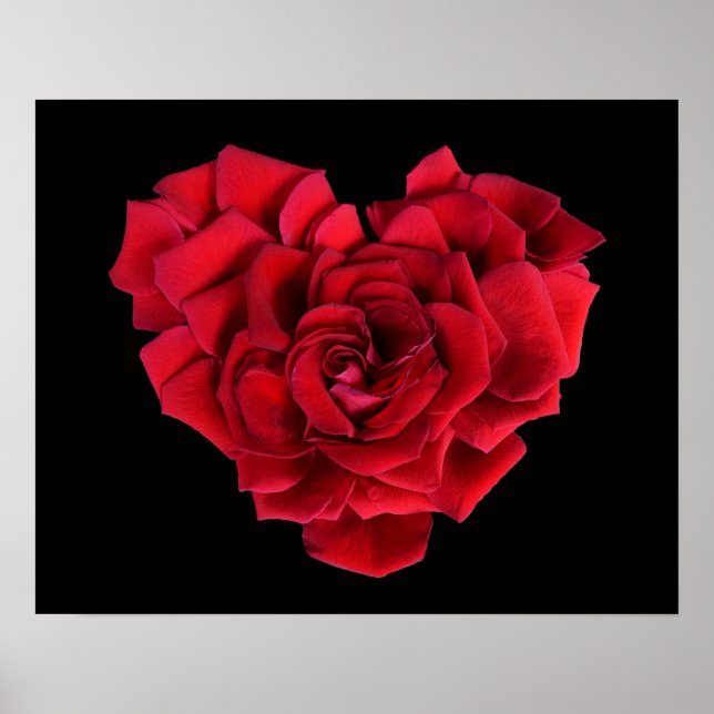 Póster Corazón de Rosa Roja sobre Negro (Frente)