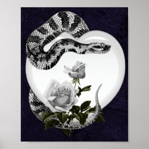 Póster Corazón de serpiente Rosa Blanca de San Valentín g