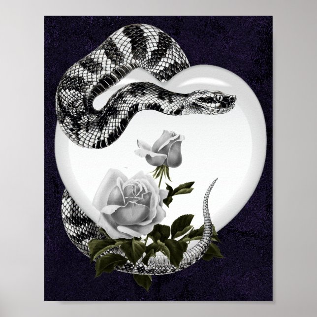 Póster Corazón de serpiente Rosa Blanca de San Valentín g (Frente)