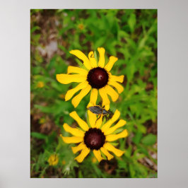 Póster Corazón de verano - fotografía de Ken Gage