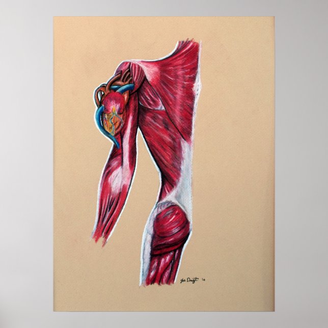 Póster Corazón en la manga (Frente)