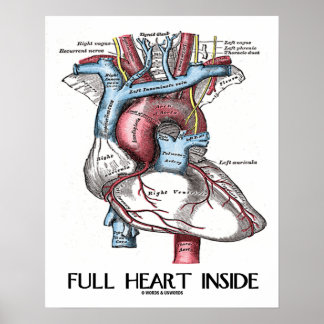 Póster Corazón lleno dentro del Ilustracion anatómico