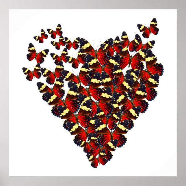 Póster Corazón mariposa (Frente)