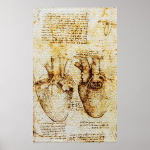 Póster Corazón, Sus Vasos De Sangre, Leonardo Da Vinci, S
