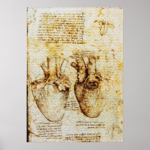 Póster Corazón, sus vasos sanguíneos, Leonardo Da Vinci, 