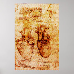 Póster Corazón, sus vasos sanguíneos, Leonardo Da Vinci m