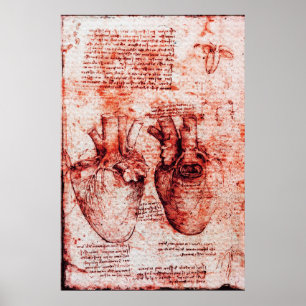 Póster Corazón, sus vasos sanguíneos, rojo Leonardo Da Vi