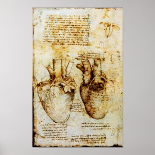 Póster Corazón Y Sus Vasos De Sangre