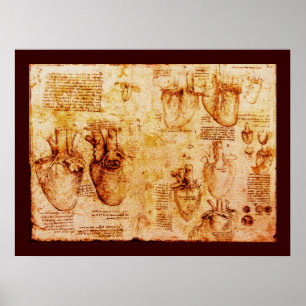 Póster Corazón Y Sus Vasos De Sangre , Lienzo Marrón