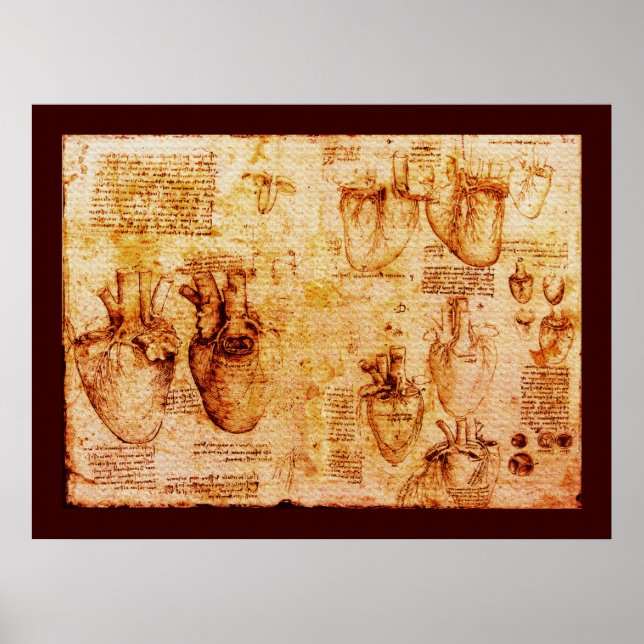 Póster Corazón Y Sus Vasos De Sangre , Lienzo Marrón (Frente)