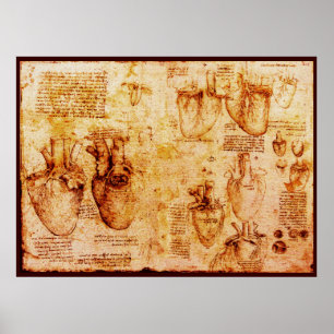 Póster Corazón Y Sus Vasos De Sangre , Lienzo Marrón