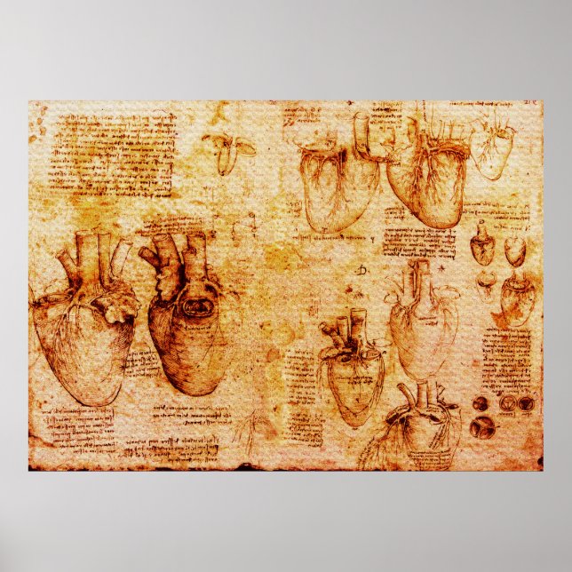 Póster Corazón Y Sus Vasos De Sangre, Marrón (Frente)