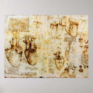 Póster Corazón y sus vasos sanguíneos