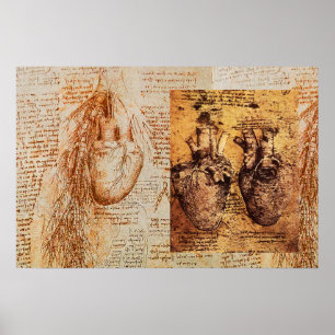 Póster Corazón y sus vasos sanguíneos / Arterias bronquia