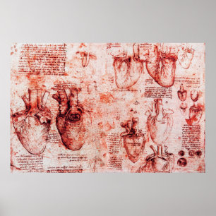 Póster Corazón y sus vasos sanguíneos Leonardo Da Vinci,R