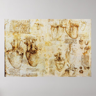 Póster Corazón y sus vasos sanguíneos,Sepia
