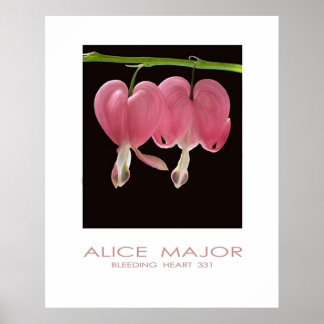 Póster Corazones sangrantes 331