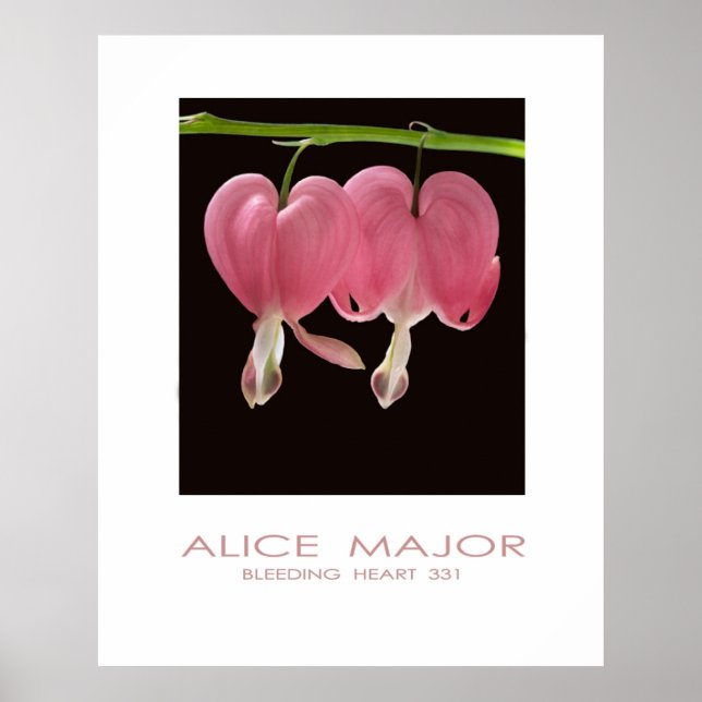 Póster Corazones sangrantes 331 (Frente)