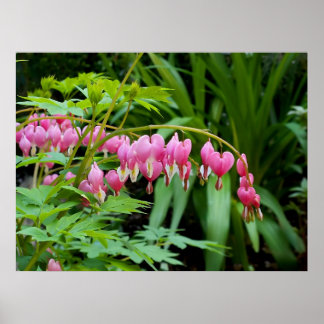 Póster Corazones tóxicos