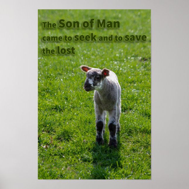 Póster Cordero perdido (Frente)