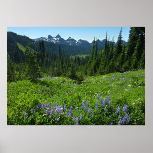 Póster Cordillera de las Cascadas desde el Parque Naciona
